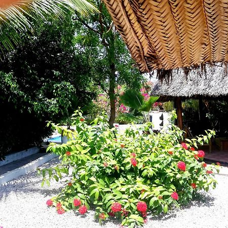 Vanilla Villa Nungwi Luaran gambar
