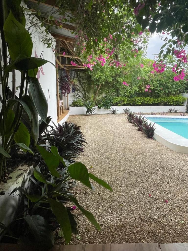 Vanilla Villa Nungwi Luaran gambar