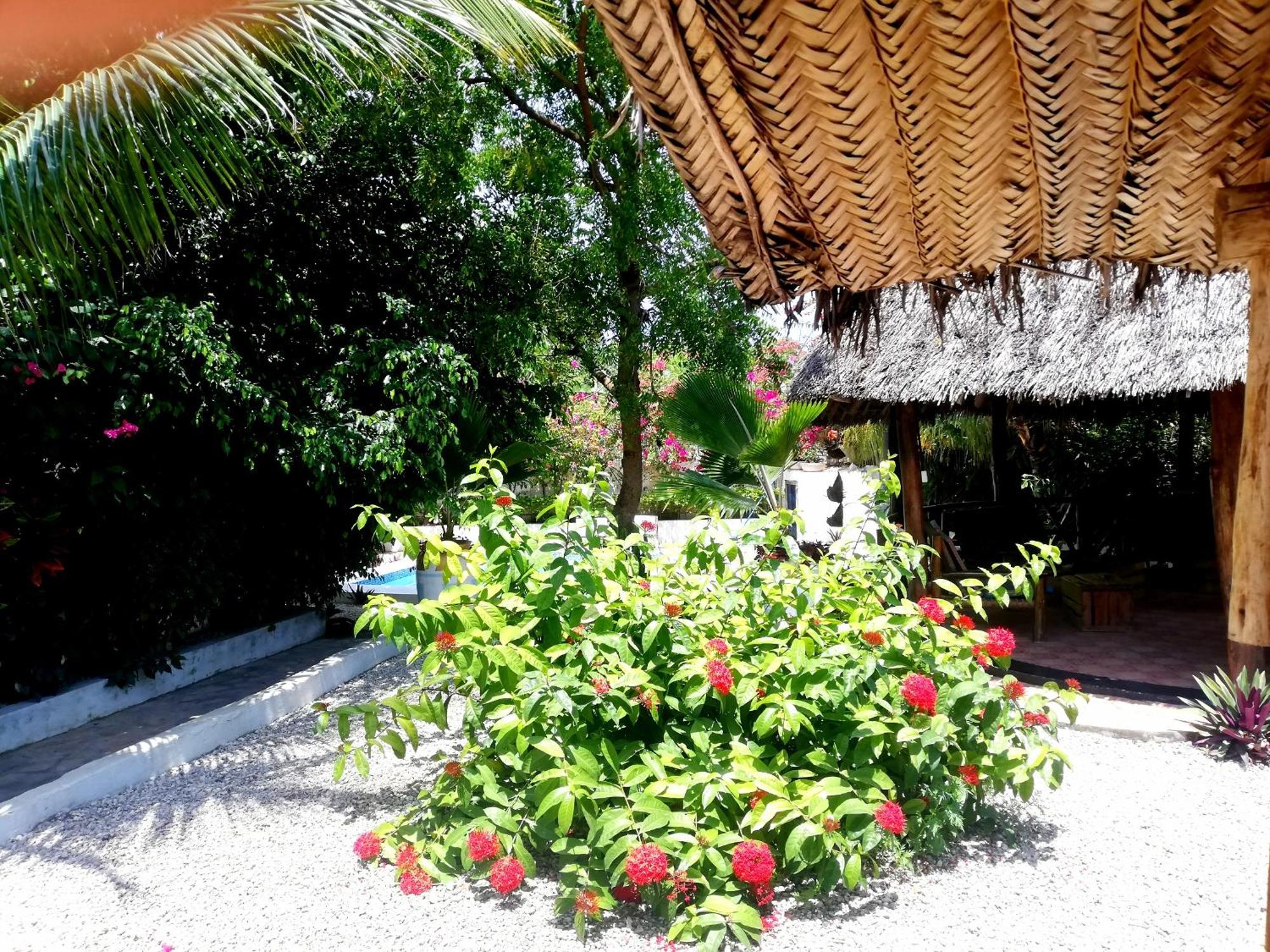 Vanilla Villa Nungwi Luaran gambar
